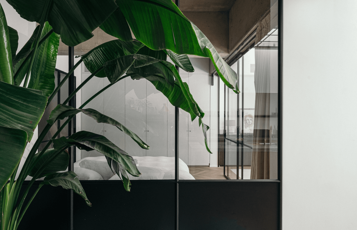 Room with plant, bed and window